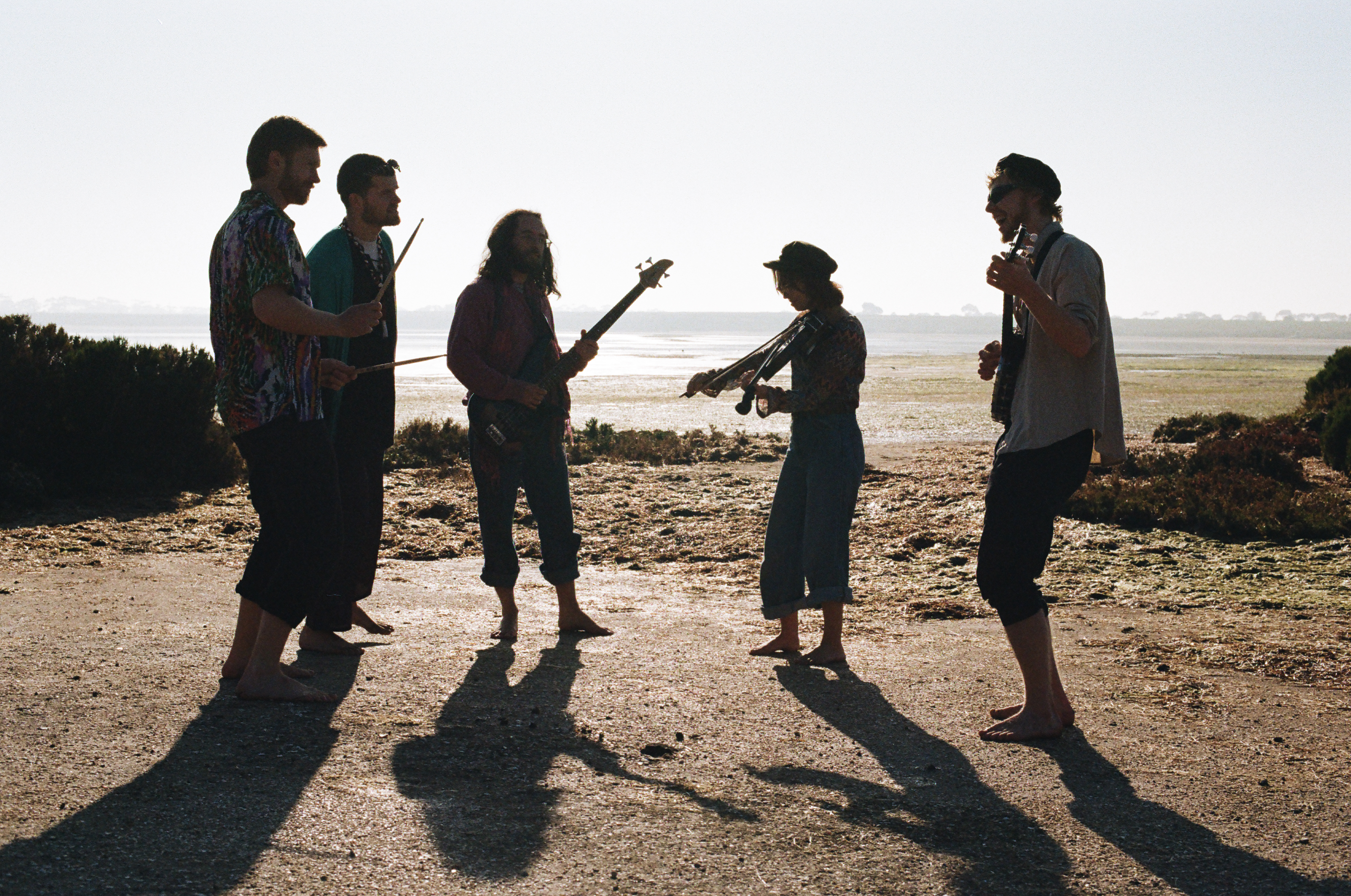 Seal Prince and the Roof Rats